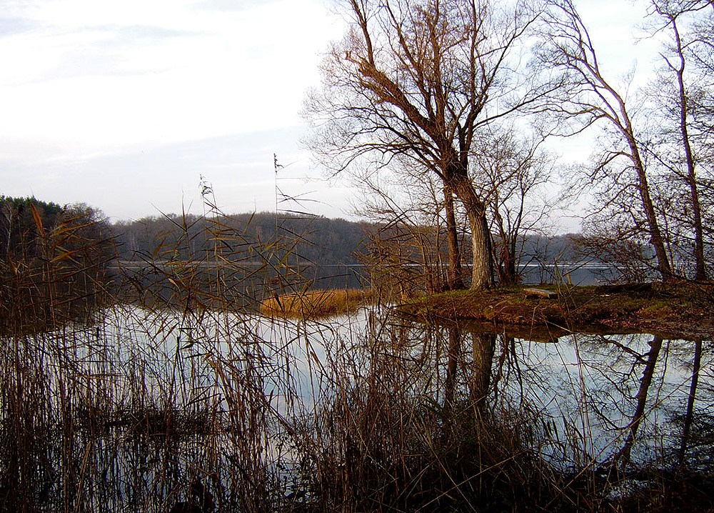 Herbststimmung