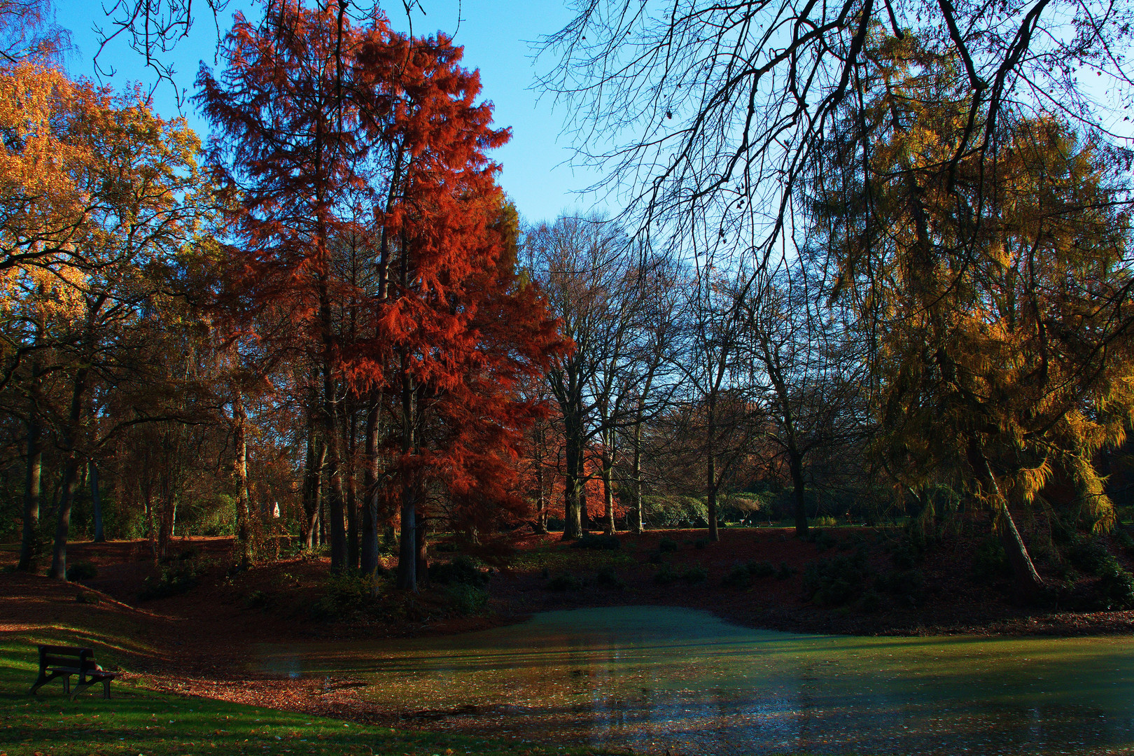 Herbststimmung 