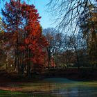 Herbststimmung 