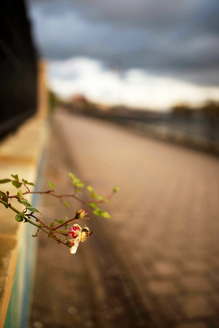 Herbststimmung