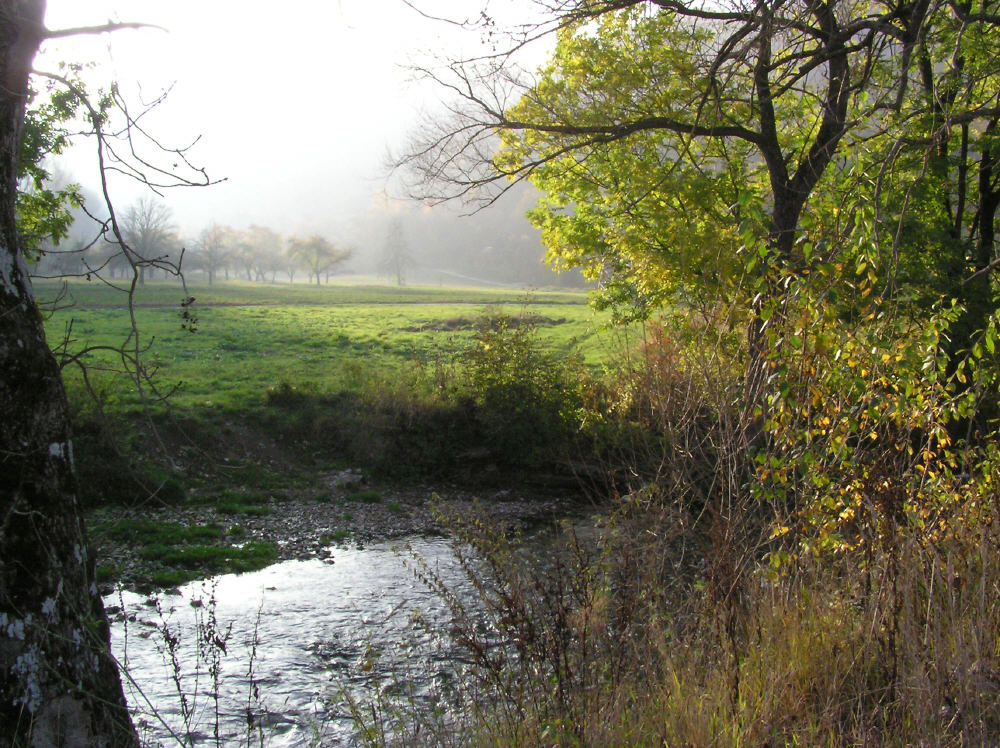 Herbststimmung...