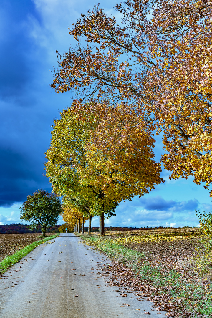 Herbststimmung