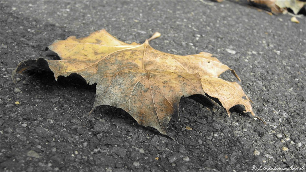 herbststimmung