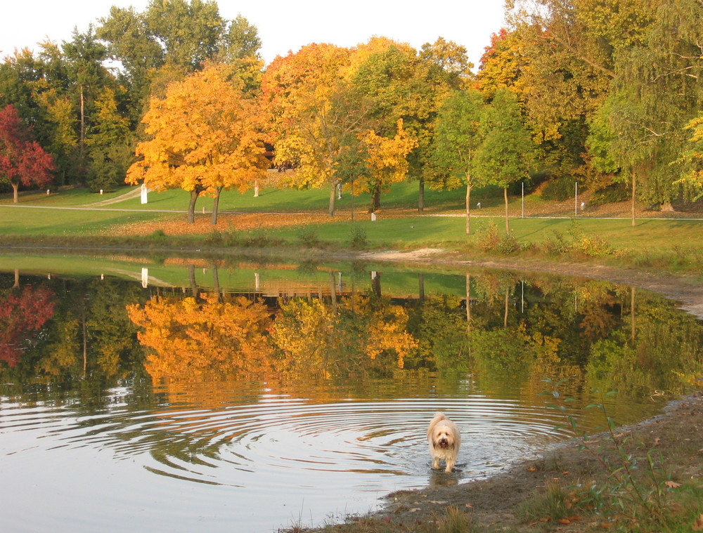 Herbststimmung