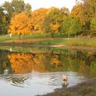 Herbststimmung