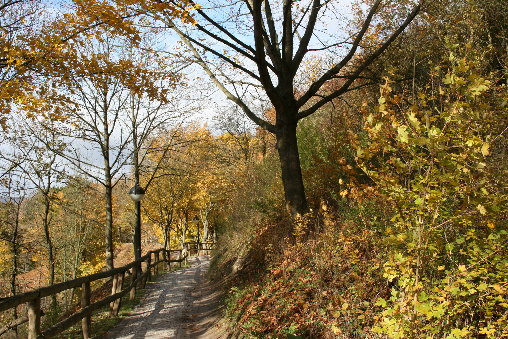 Herbststimmung