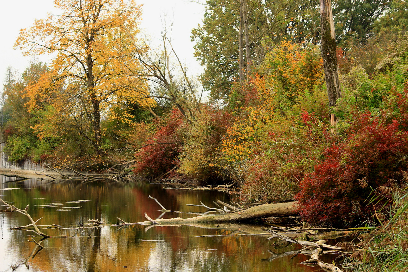 Herbststimmung