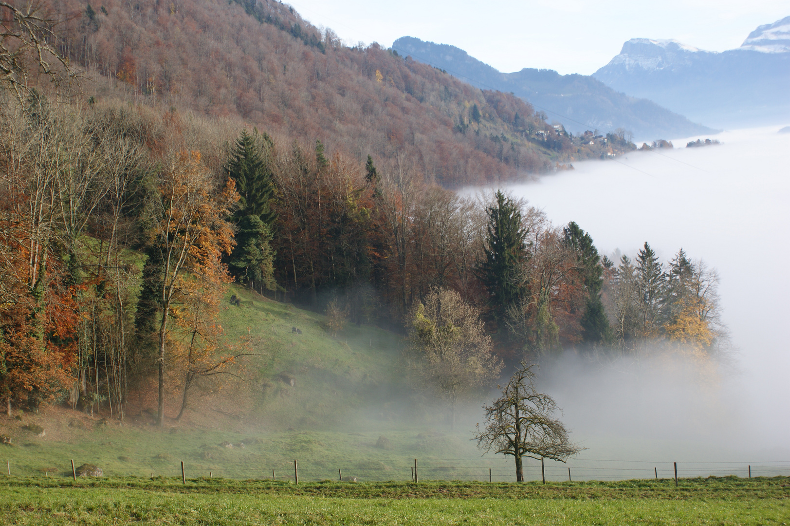 Herbststimmung