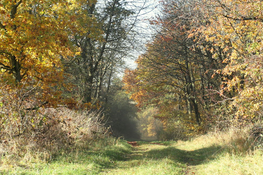 Herbststimmung