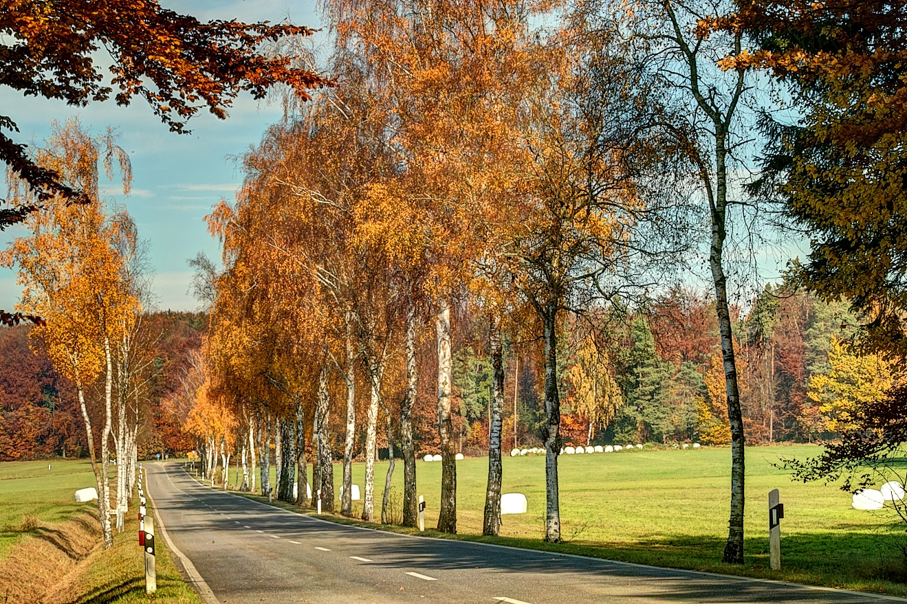 Herbststimmung