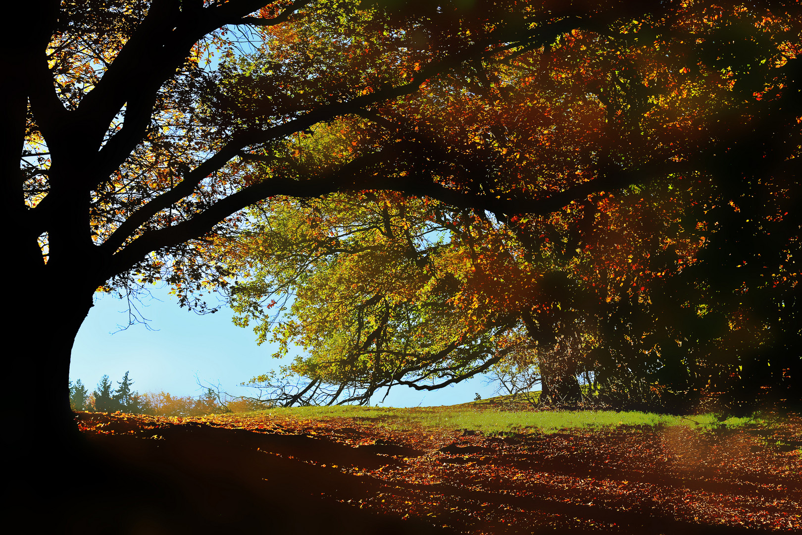 Herbststimmung