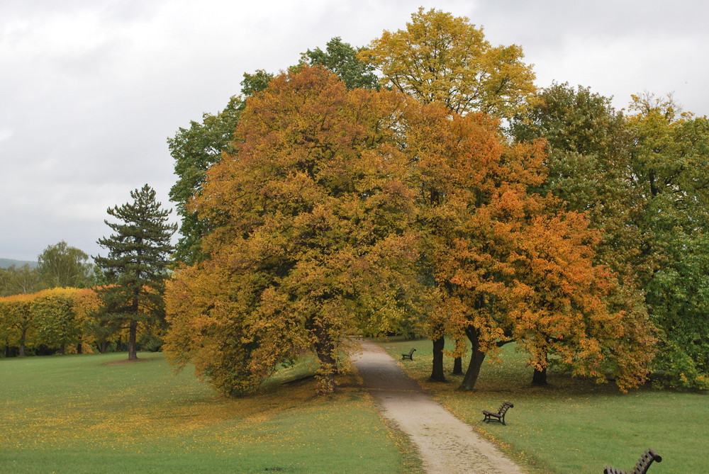 Herbststimmung