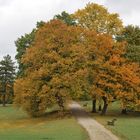 Herbststimmung