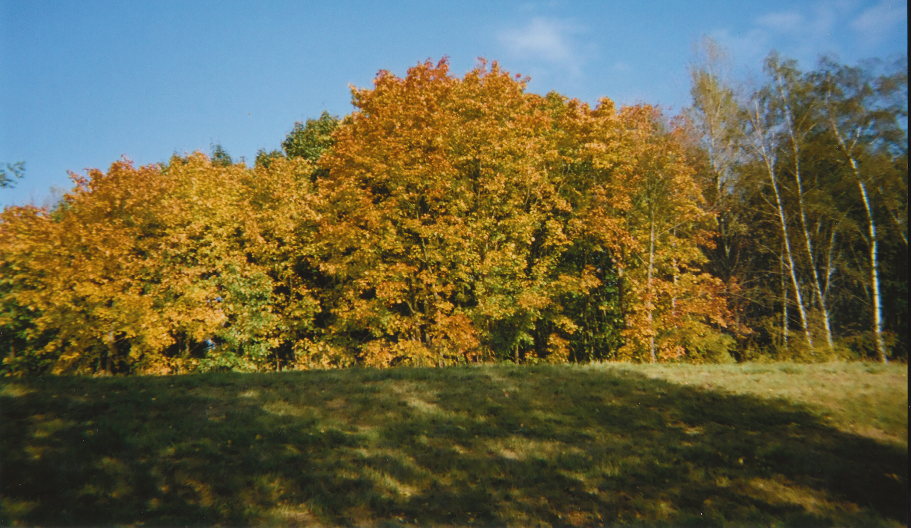 Herbststimmung