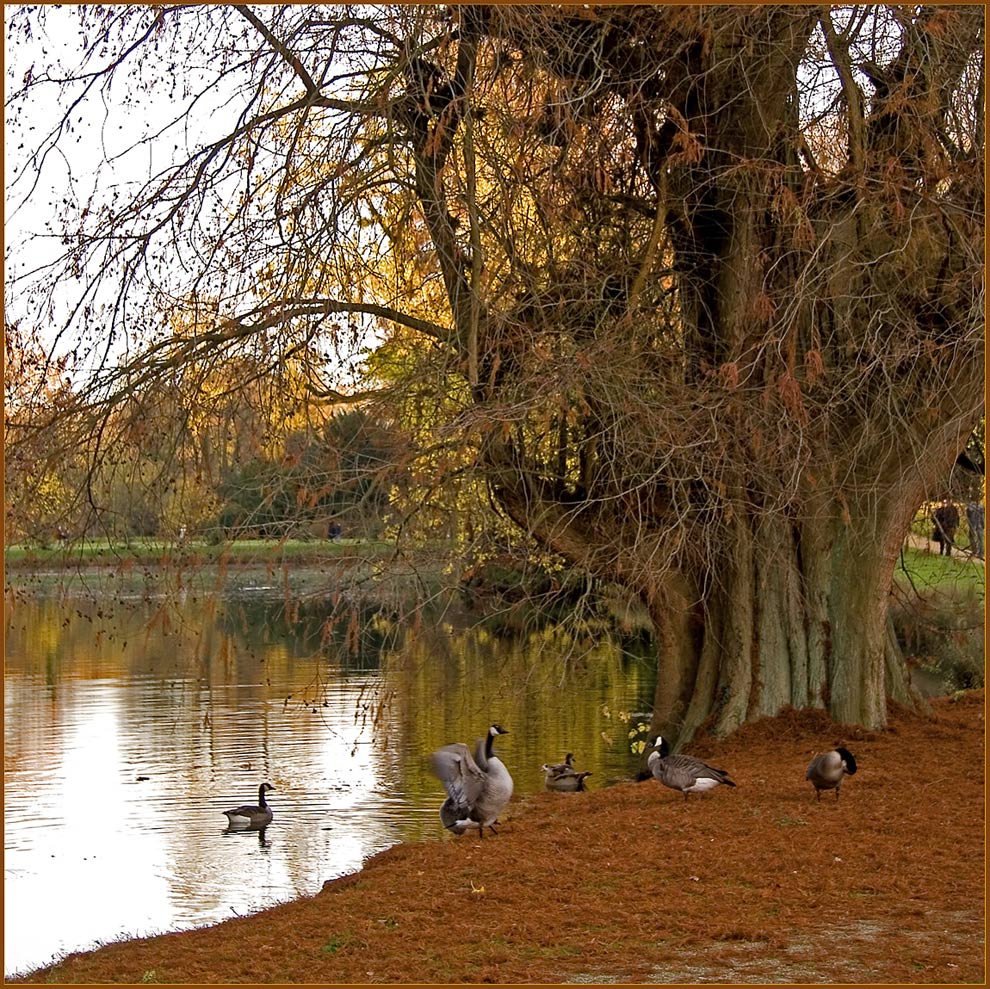 Herbststimmung