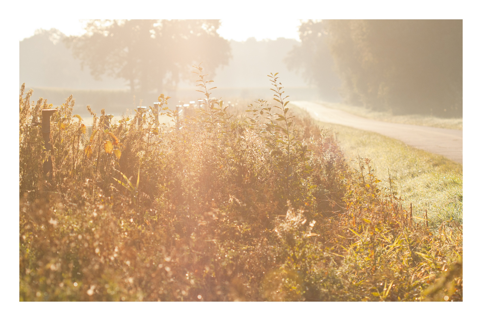 Herbststimmung