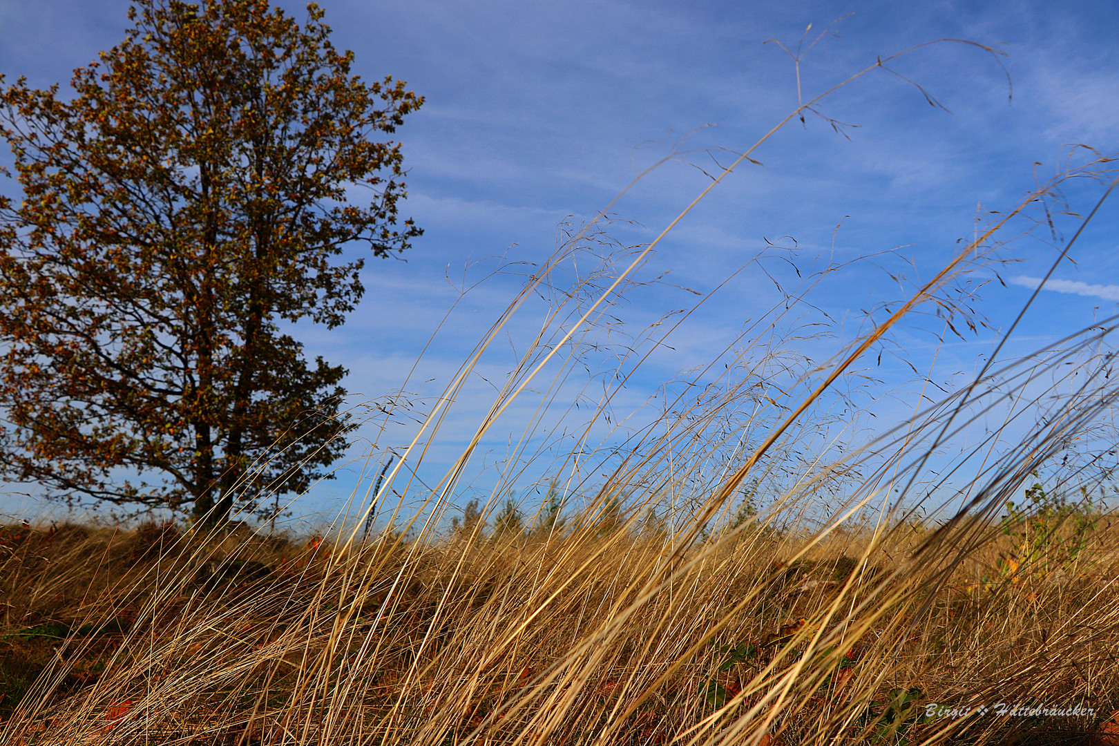 Herbststimmung