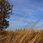 Herbststimmung