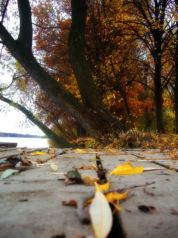 Herbststimmung