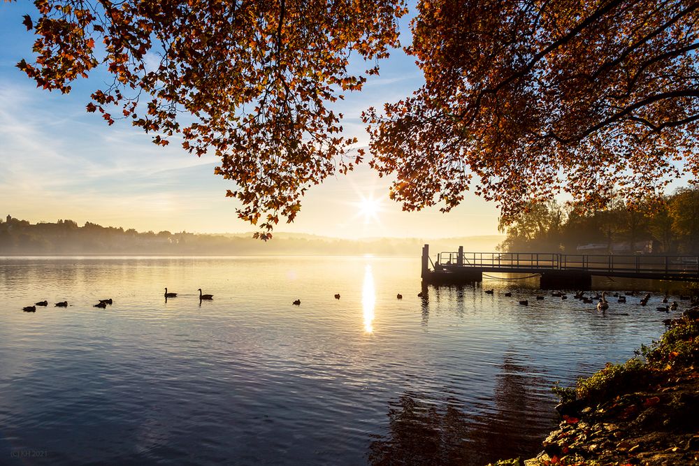 Herbststimmung 