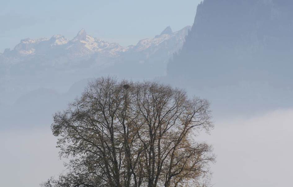 Herbststimmung