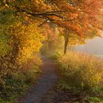 Herbststimmung