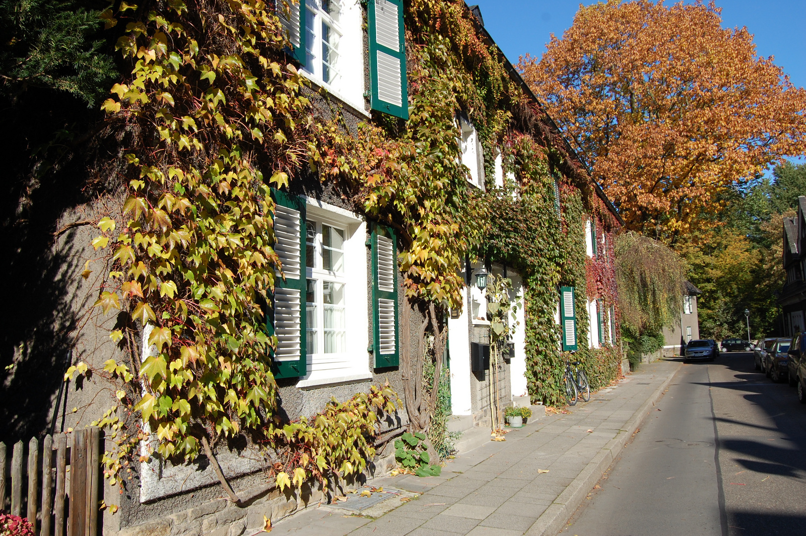 Herbststimmung