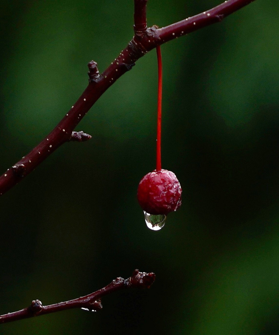 Herbststimmung