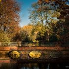 Herbststimmung