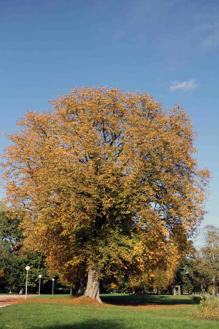 Herbststimmung