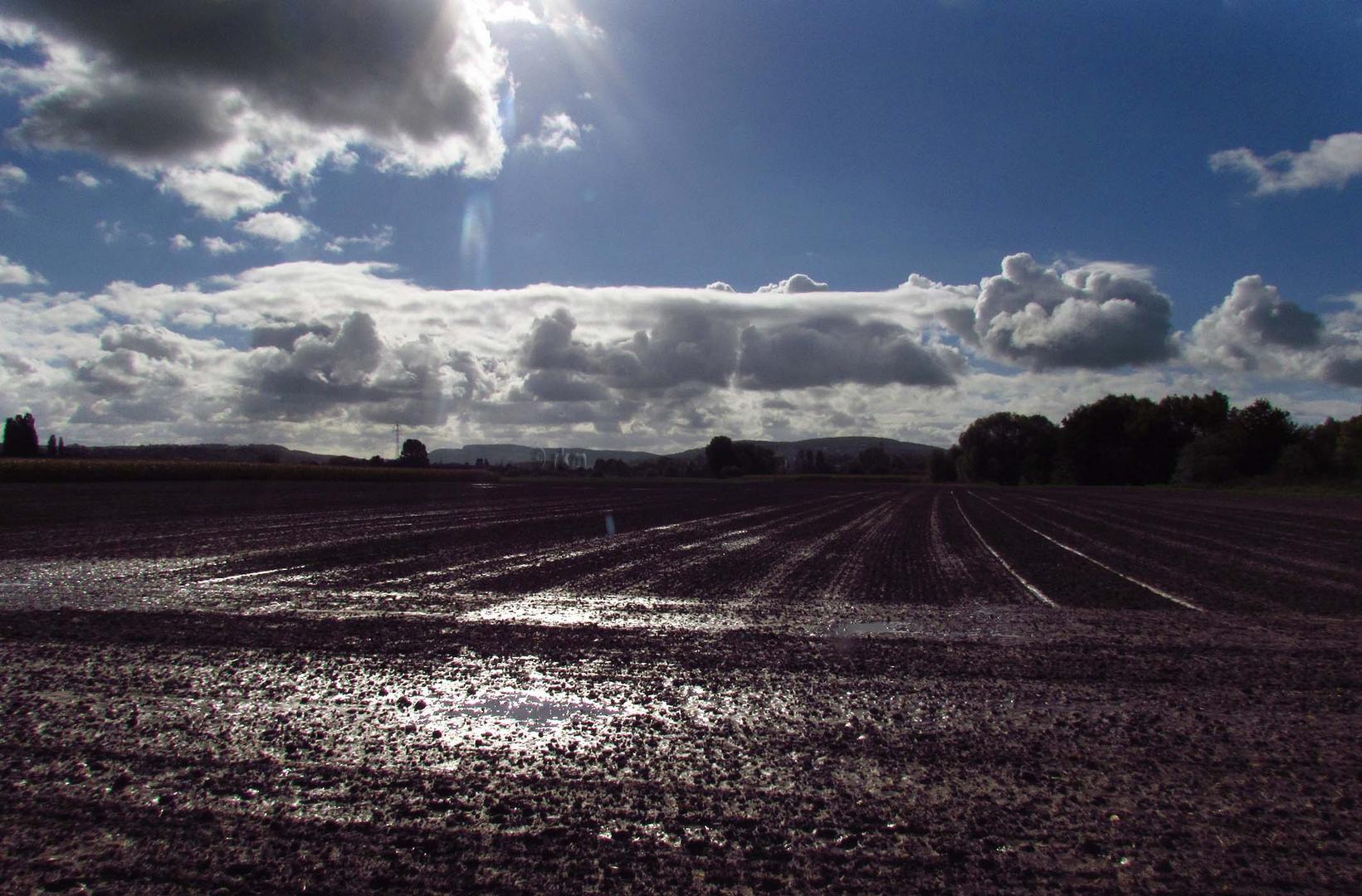 Herbststimmung