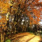 Herbststimmung