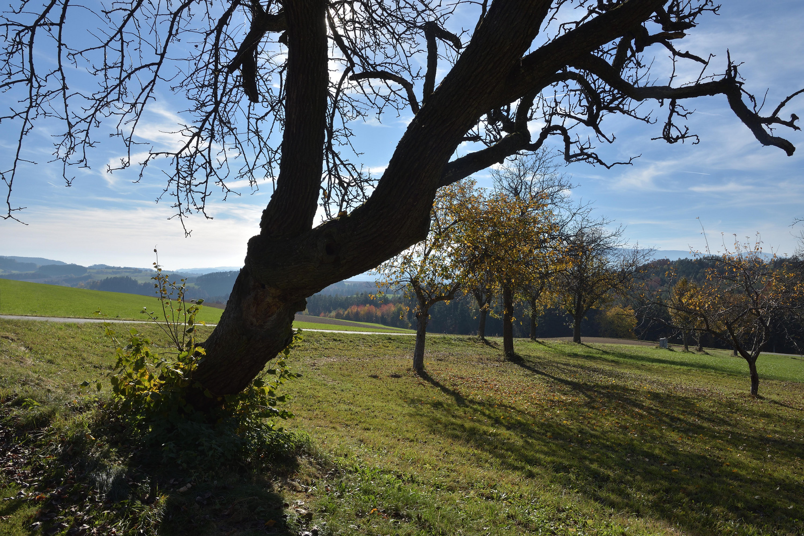 Herbststimmung