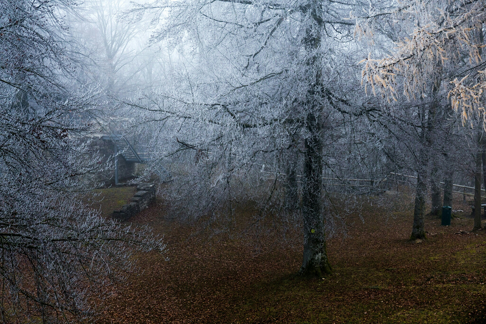 Herbststimmung