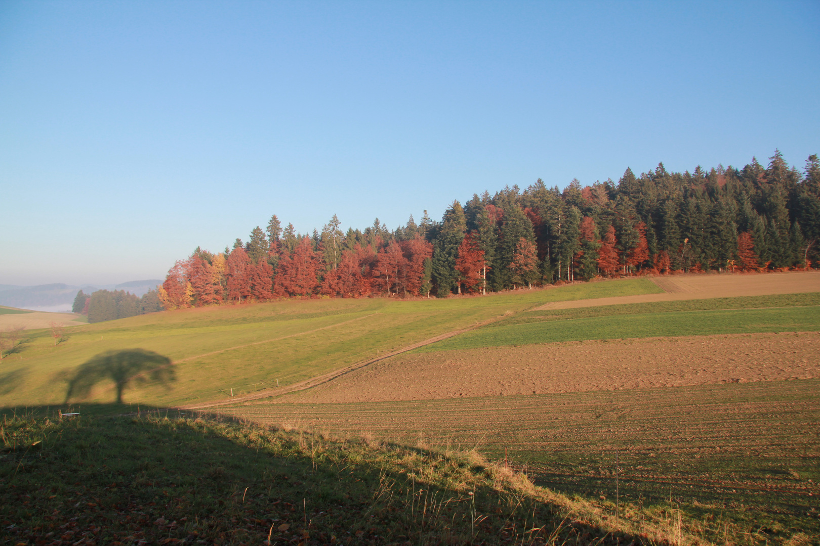 Herbststimmung