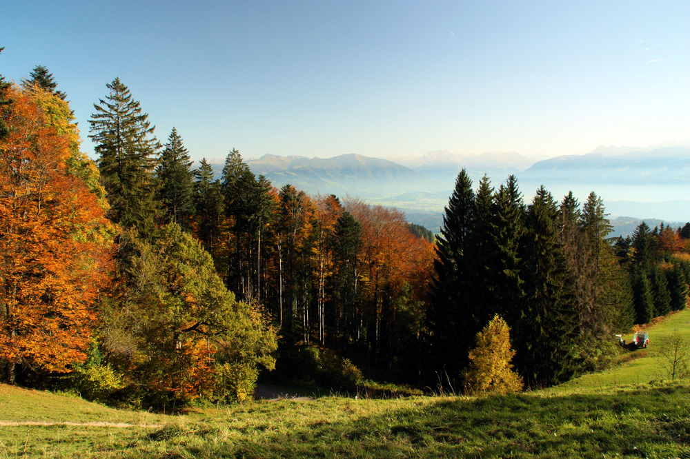 Herbststimmung