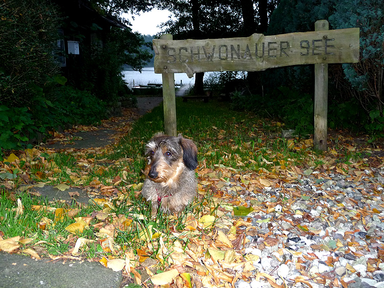 herbststimmung