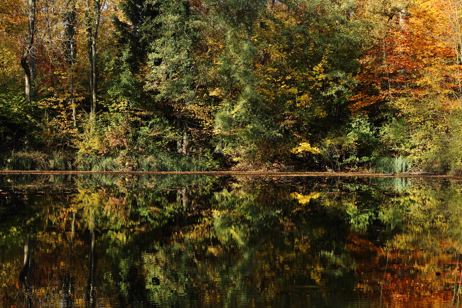 Herbststimmung