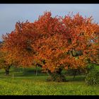 Herbststimmung