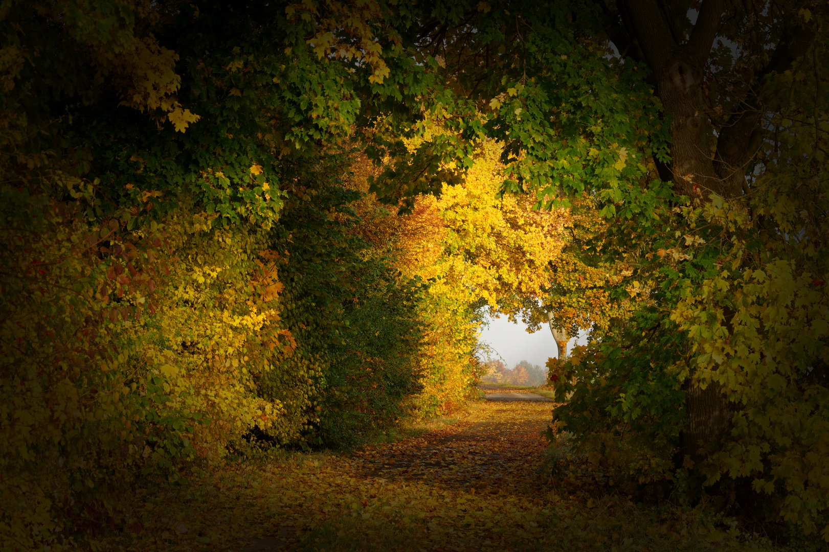 Herbststimmung