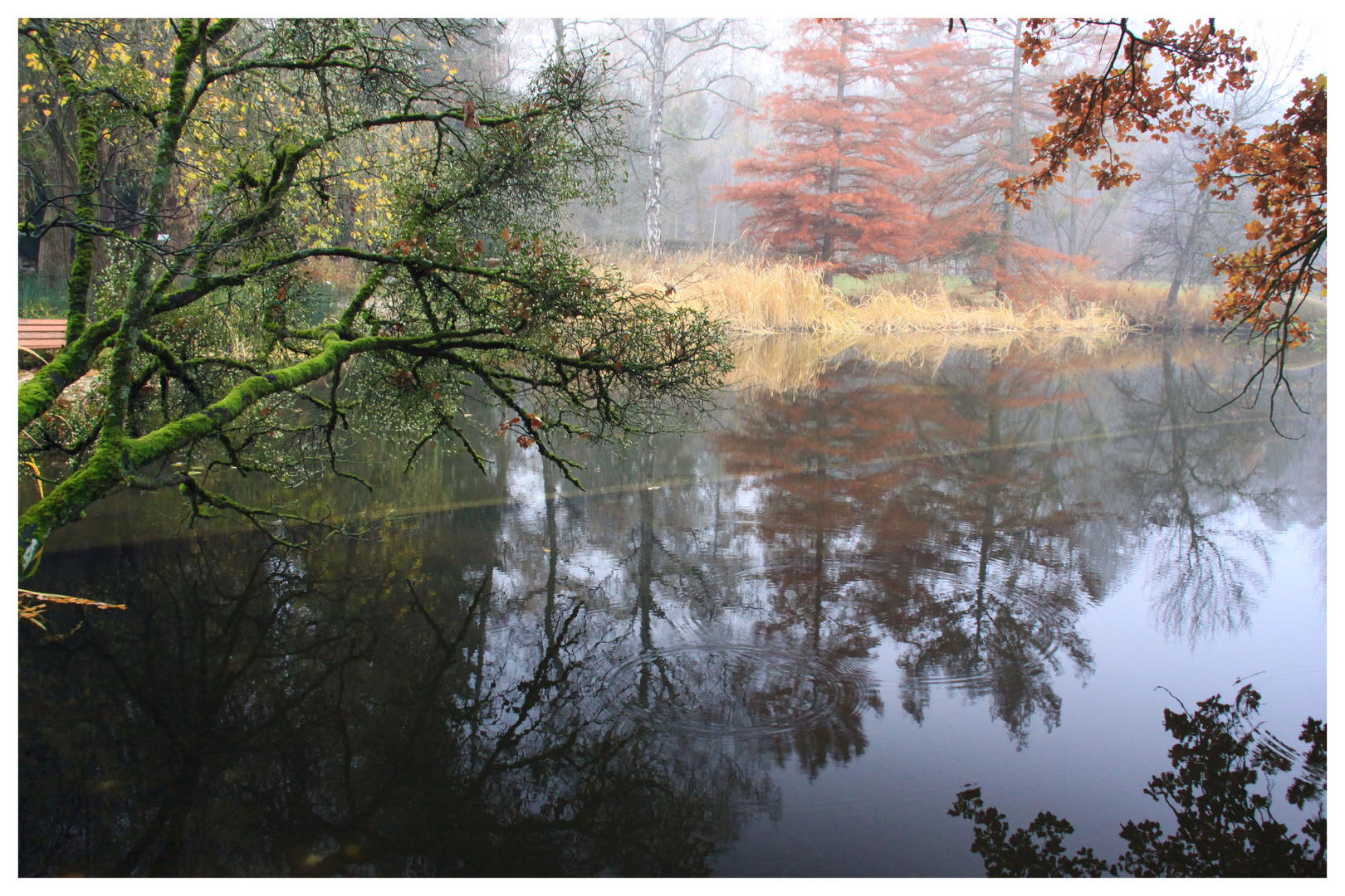 Herbststimmung