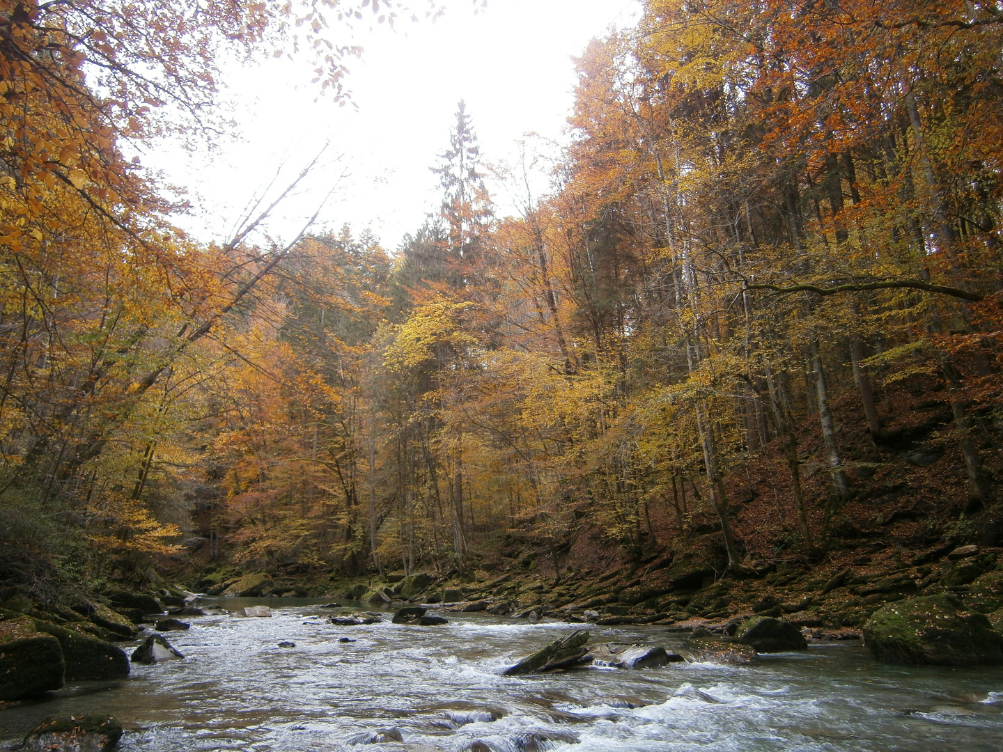 herbststimmung