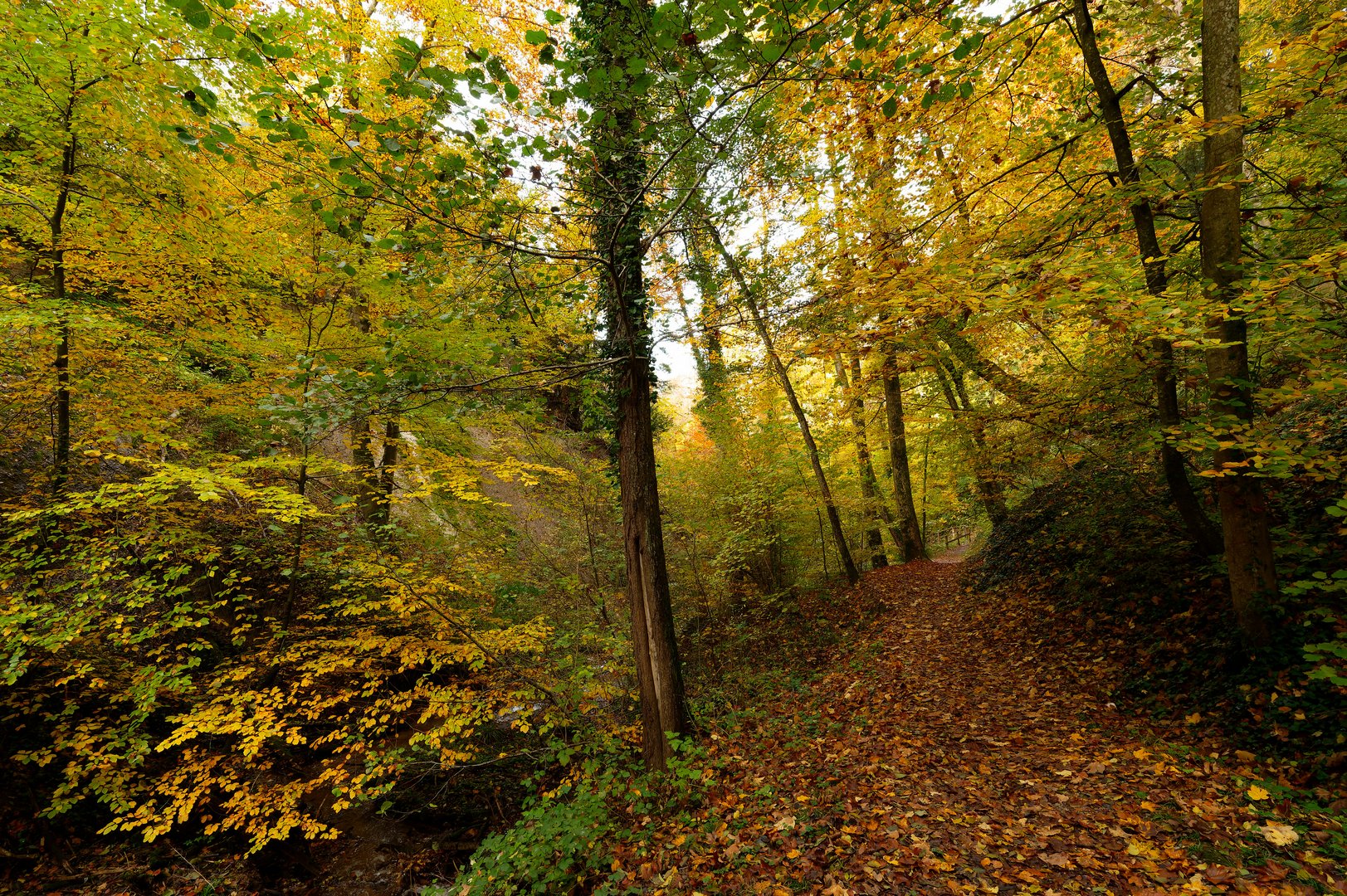 Herbststimmung