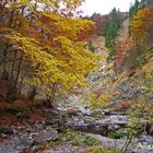 Herbststimmung