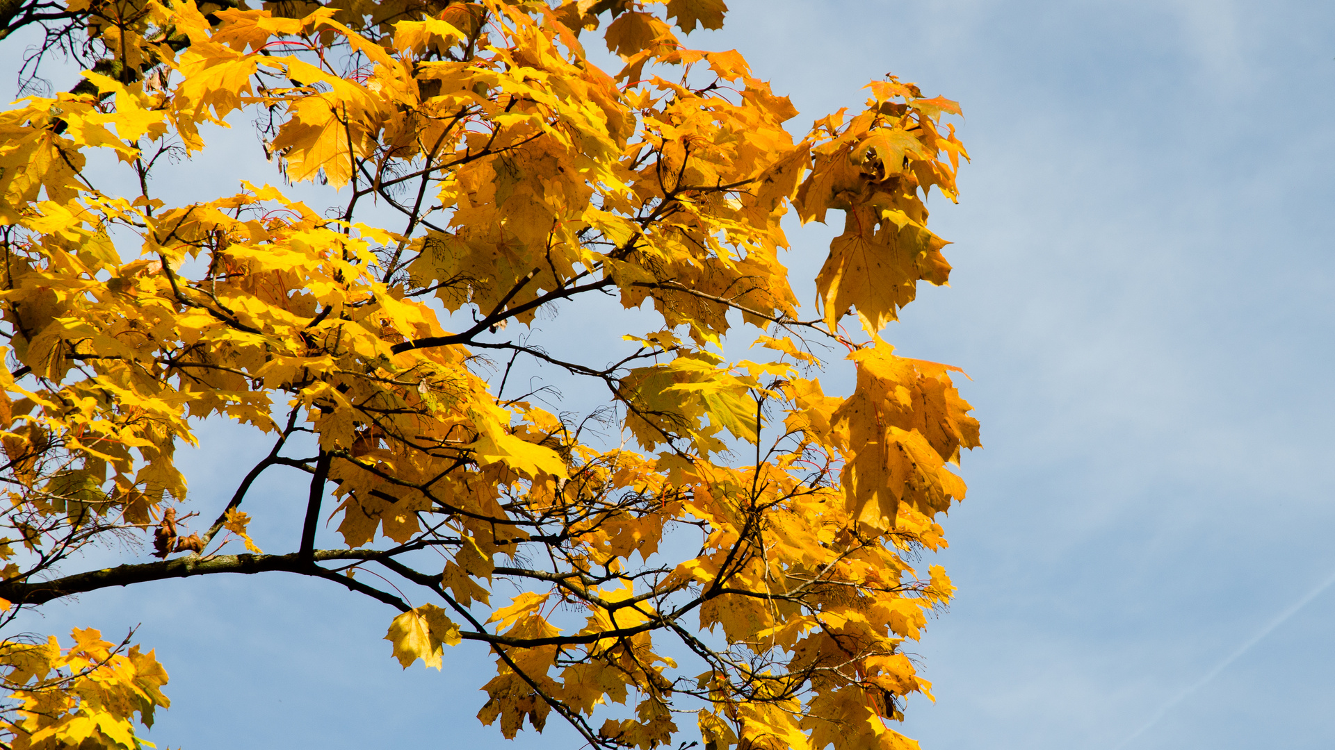 Herbststimmung