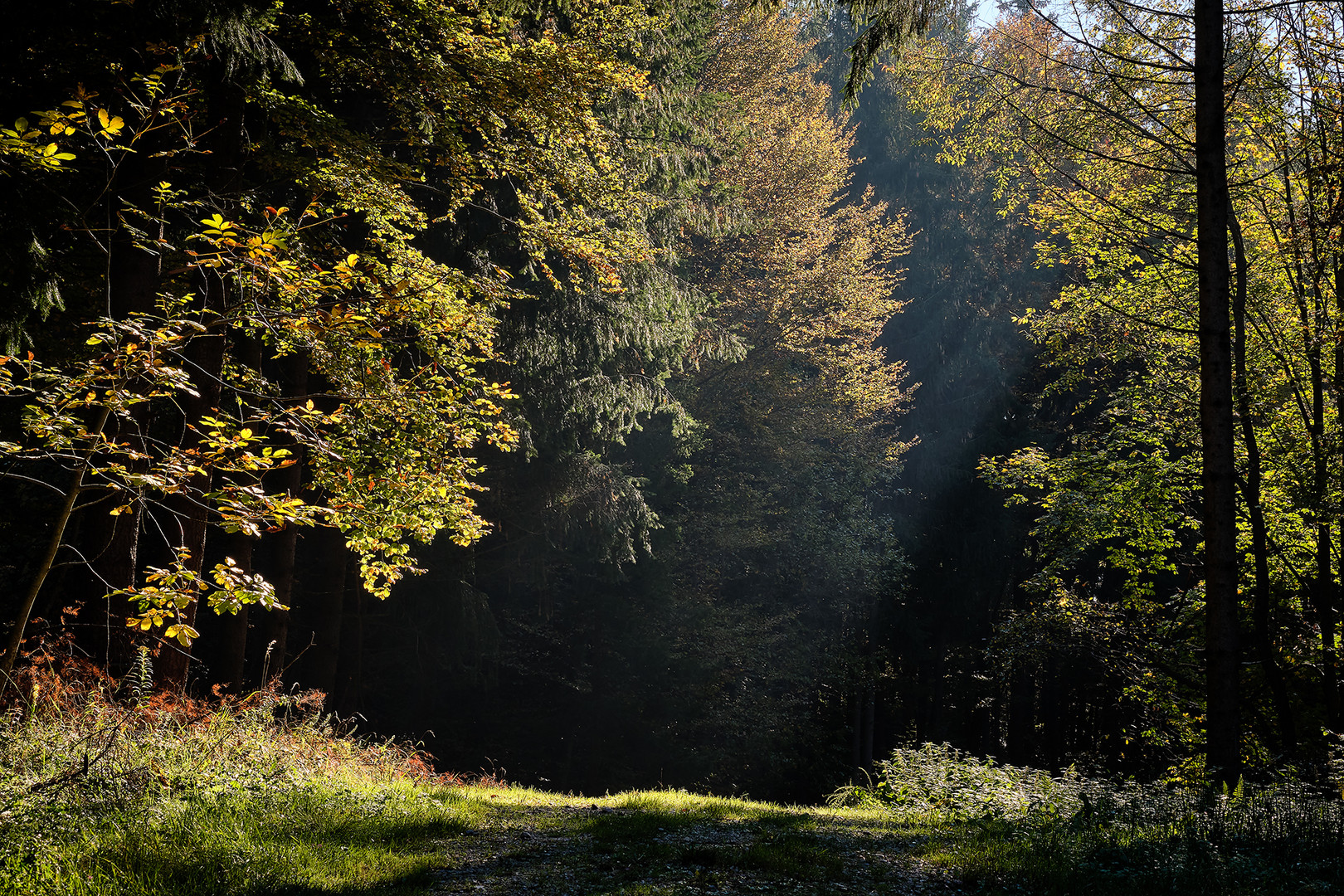 Herbststimmung