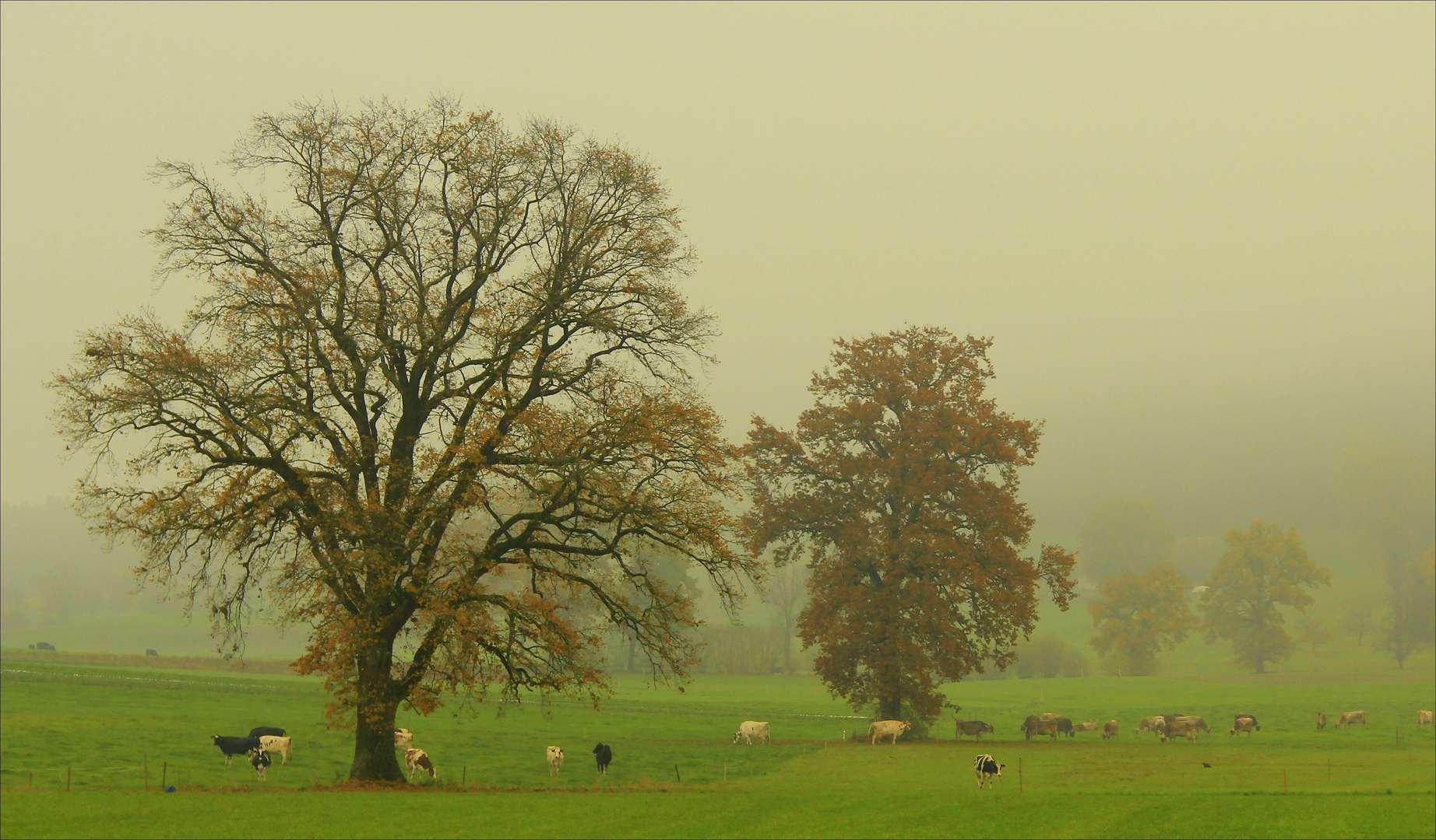 Herbststimmung