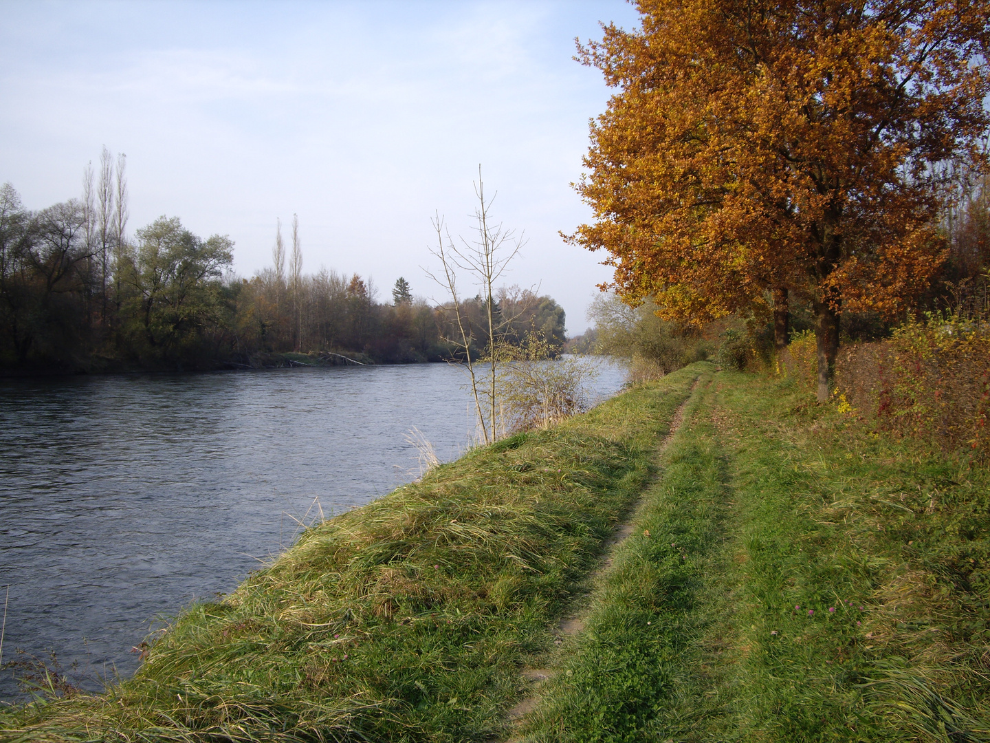 Herbststimmung