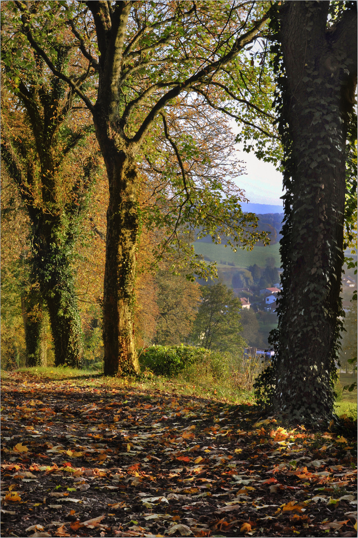 Herbststimmung