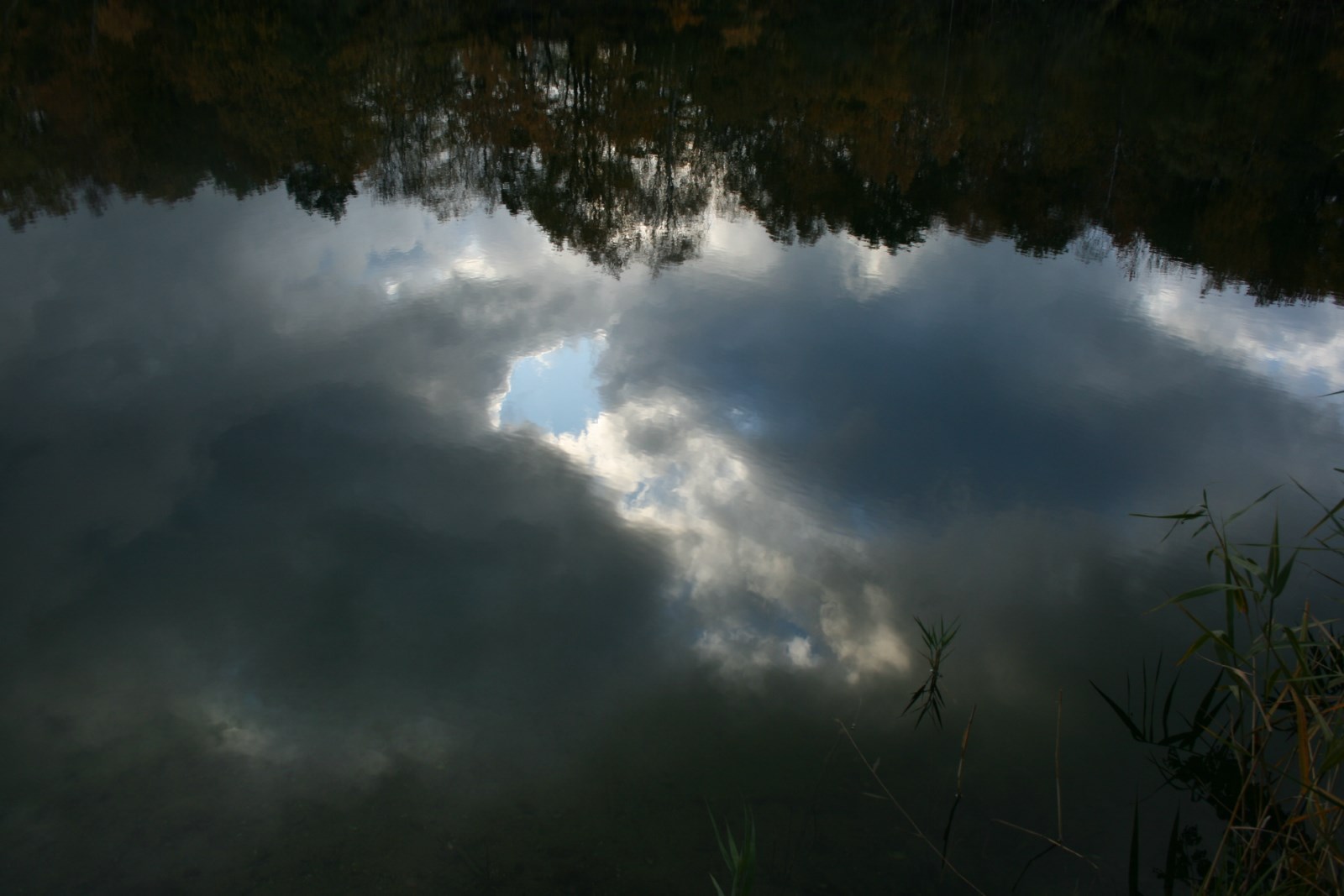 Herbststimmung Alter Kreidebruch, Klein Stubben, Insel Rügen, Deutschland